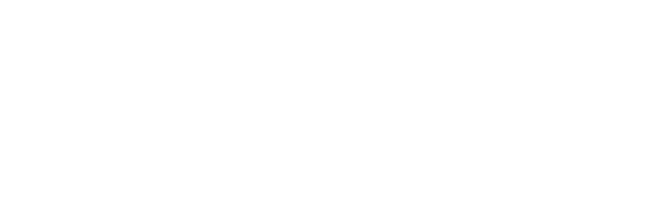 Safer Sphere - logo
